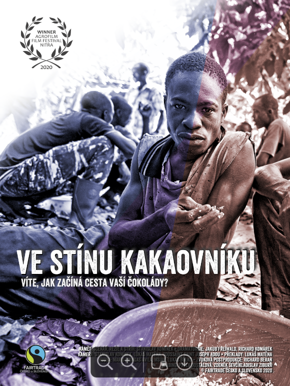 Ve stinu kakaovniku - poster